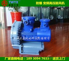 化工設(shè)備專用防爆風機 防爆高壓鼓風機
